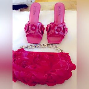 Beautiful Sassy, pink rose zipper purse, and shoe set 👛👠
